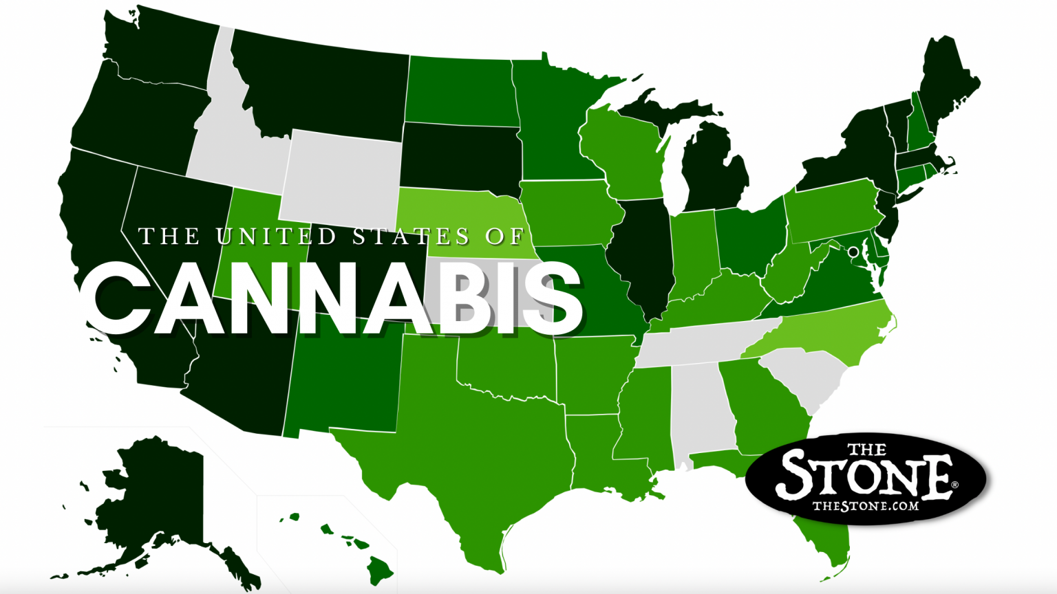 Recreational Marijuana Legalization is Sweeping the Nation! Here’s a List of States Where it’s Legal